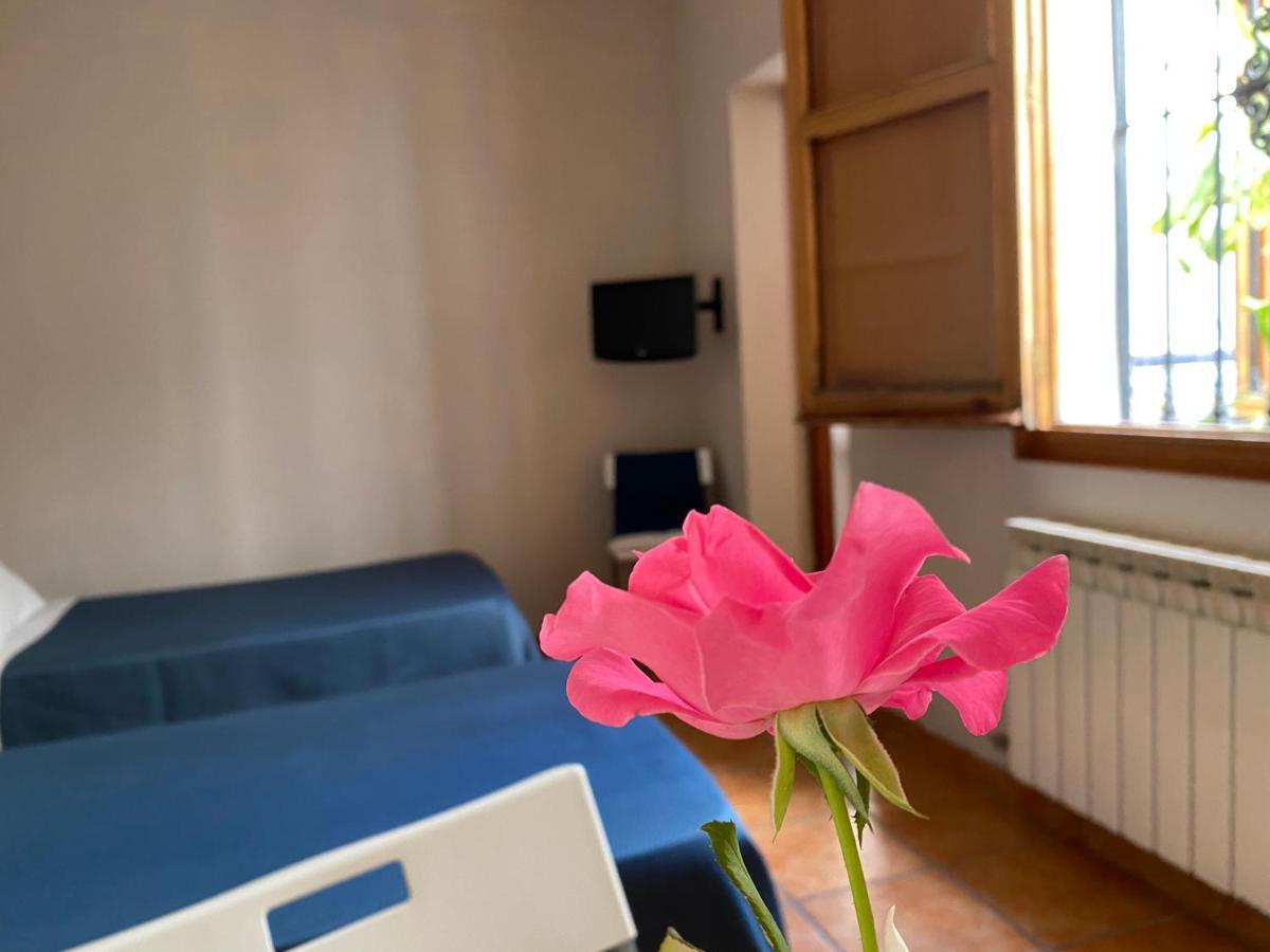 Hostal Moscatel Малага Экстерьер фото